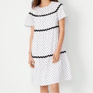Ann Taylor Swiss Dot Dress With Ric Rac Black and White Small